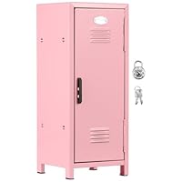 Mini Storage Locker with Lock and Key, Internal Compartments, Waterproof and Rustproof, Practical Metal Small Locker for Girls Boys, 10.5×10.5×27.5 cm