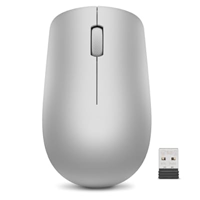 Lenovo 530 - Ratón Inalámbrico de 2.4 GHz  Receptor USB Nano  1200 dpi  Ambidiestro  Gris Platino