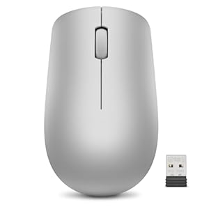 Lenovo 530 – Mouse inalámbrico de tamaño completo para PC, laptop, computadora con Windows – Receptor Nano USB de 2.4 GHz – Diseño ambidiestro – 12 meses de duración de la batería – Gris platino