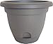 6" Pepper Lucca Planter