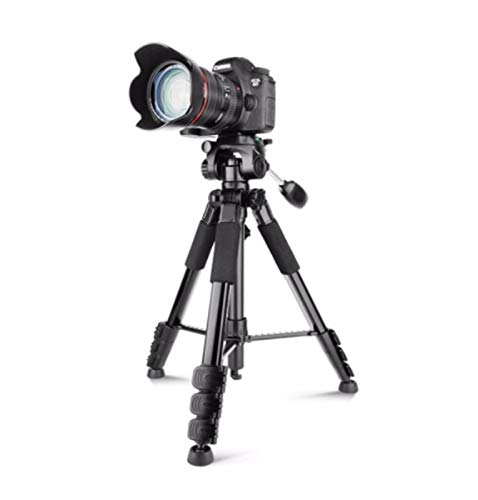 PTZ Handy Fotografie Video-DV Echtzeit-Unterstützung Bluetooth Steuerung Mini-SLR-Kamera tragbare Camcorder Stativ schwarz Stativ einzurichten