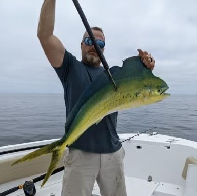 2 Paquetes Ballyhoo Rig para Pesca Trolling en Agua Salada con Anzuelo 7/0 y Monofilamento de 150 lb miniatura 4