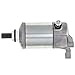 NICHE Starter Motor for Suzuki Ozark Quadsport Z250 King Quad 250 Quadrunner 230 160 31100-02C10 31100-02C01 ATV