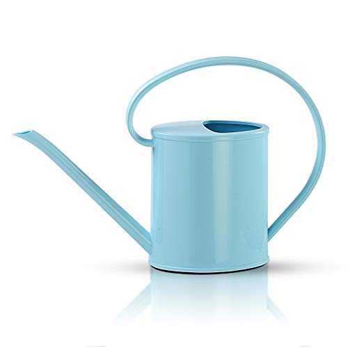 1 Gallon Watering Can for Indoor Plants, Garden Watering Cans for Outdoor Plant House Flower, Modern Plant Watering Can Large Long Spout with Sprinkler Head