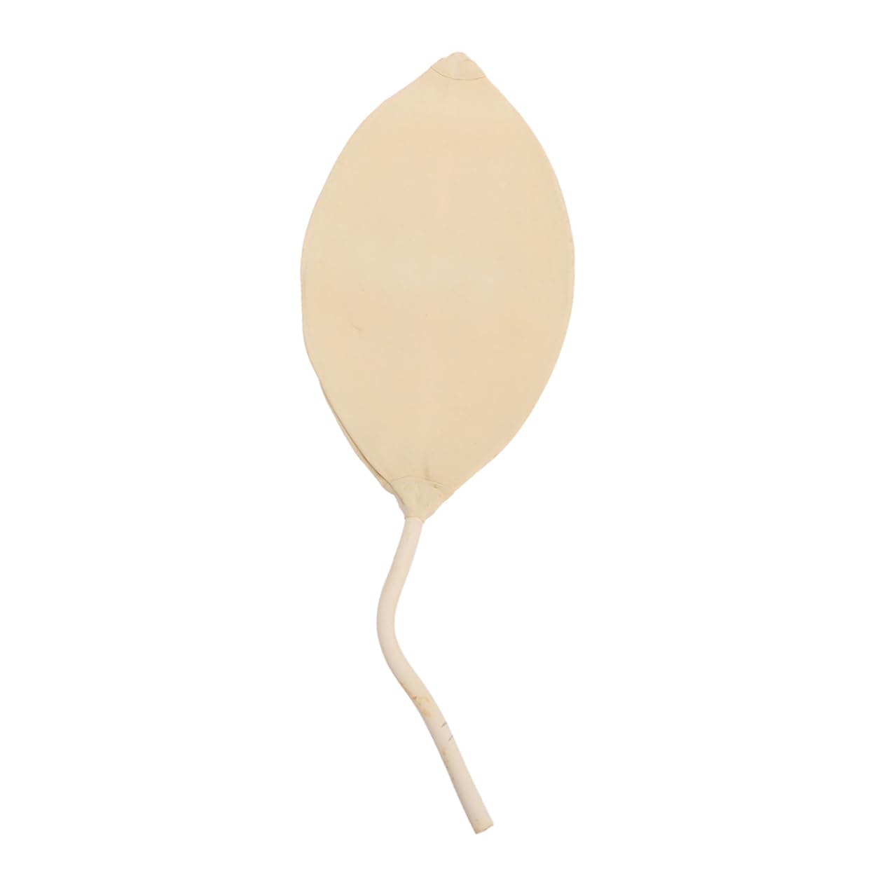 HEALEEP Sampling Balloon Helium Canister Gas Sampling Bladder Gas Sample Bag Helium Tank for Balloons Gas Ornament Science Balloon Gas Labs Balloon Internal Bladder Blow Rubber