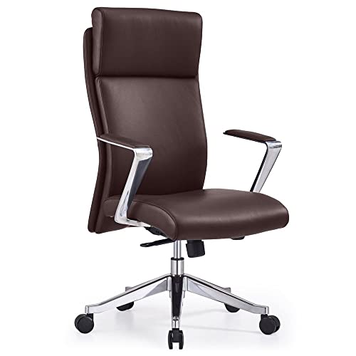 ZURI Dark Brown Leather Executive Chair with Aluminum Frame