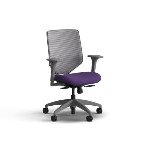 Image of HON Solve Office Chair, Ergonomic Office Chair Mesh Back Support, Adjustable Lumbar Support, Height Adjustable Arms, Titanium Frame, Iris