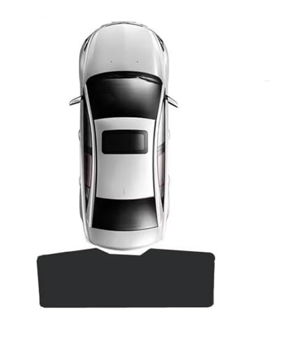 TVF[h NTX NX AZ20 NX350H 2022 2023 2024 ɓK }OlbgTVF[h J[V[h tgKXJ[e ɓKToCU[ c[  tgKXTVF[h(1PCS Rear)