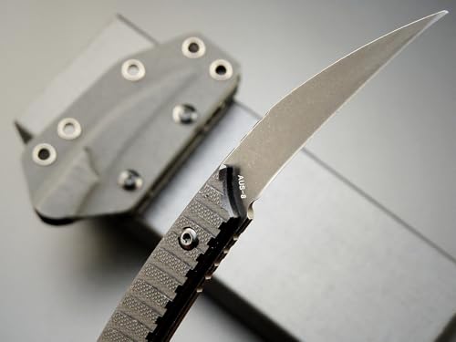 Ccanku C1394 Fixed Blade Knife, AUS-8 Black Stonewashed Steel Blade G10 Handle EDC Tool Knife for Outdoor Survival Hiking Camping with Kydex Sheath(Black)