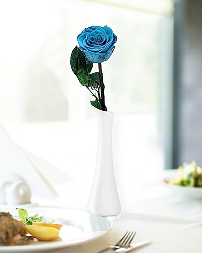Image of Loyal Blue Flowers for Delivery Prime, Preserved Blue Roses Flower Gifts for Women, Real Roses Single Rose Gifts for Her, Mom Birthday Gifts from Daughter, Valentines Flowers
