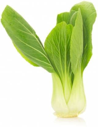 Golden Hills Farm Pak Choy, Also Called Bok Choy 500-519 seeds (B09K4QDY1S) Amazon Price History, Amazon Price Tracker