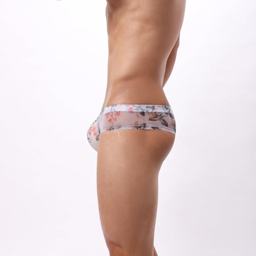 Mens Underwear Thin Sexy Transparency Bulge Pouch Briefs Seamless Wireless Soft Panties for Man 20253