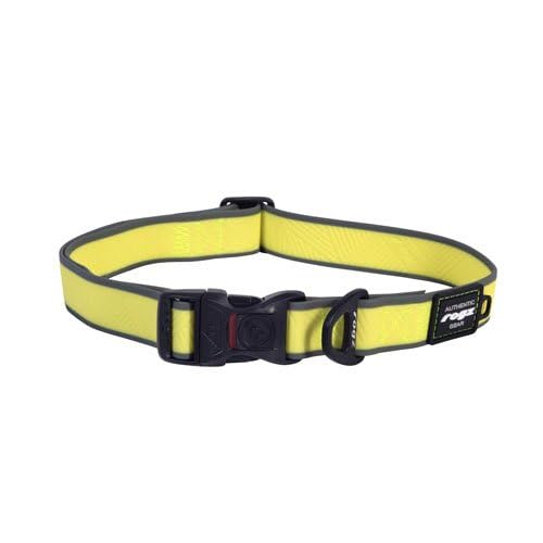 Rogz Amphibian Klassisches Hundehalsband Dayglo XL 43–70 cm – Das Halsband ist ideal für Aktivitäten im Wasser