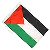 AZ FLAG Palestine Flag 18'' x 12'' cords - Palestinian SMALL flags 30 x 45cm - Banner 18x12 in #1