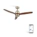 CREATE / WINDSTYLANCE DC / Ventilador techo motor DC níquel aspas madera oscura / Silencioso, 2 alturas, temporizador, con WIFI