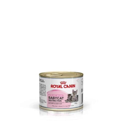 Royal Canin Canin, Babycat Instinctive Mousse , 195 G (1Er Pack)