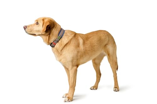 HUNTER Hundehalsband Havanna, Farbe: Taupe/Rauchblau, Strukturgewebe mit Kunststoffummantelung, breit, komfortabel, langlebig, reißfest, witterungsbeständig, pflegeleicht, Gunmetal-Look, Größe: 55