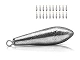 Toasis Bullet Fishing Weights Bank Sinker Set Assorted Sizes (5g/0.17_oz-20pcs)