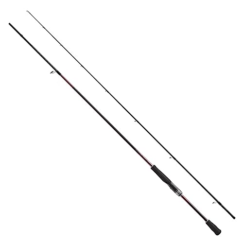 V}m(SHIMANO) GMObh 23 ZtBA SS S80M