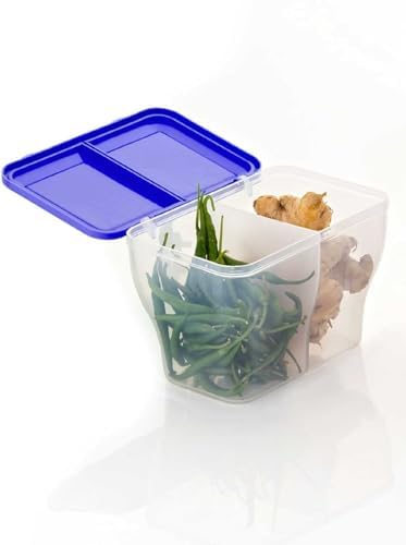 Image of HomeWiz 2 Section Masala Box 2000ml | BPA-Free Large Airtight Masala Dabba | Food Grade Transparent Spice Container For Kitchen | Masala Container Set with Measuring Spoons | For Spices & Dry Fruits
