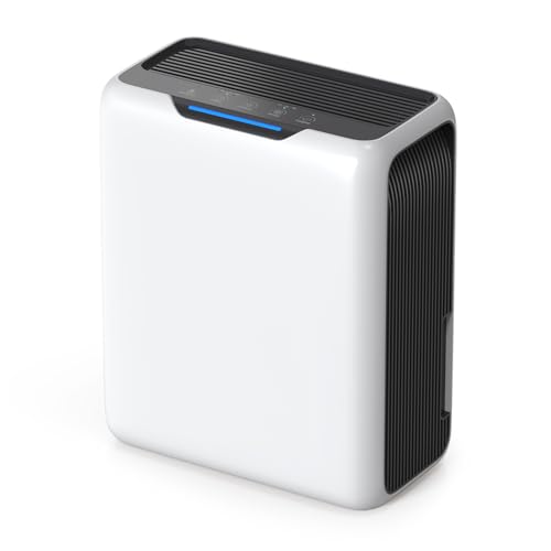 GOAMGE Deshumidificador 3L, Deshumificadores de Humedad para el 20 ㎡ Hogar, Doble Efecto Peltier, 30dB Ultra Silencioso, Descongelación Inteligente, Temporizador de 24H