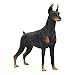 01 Figura de Juguete de simulación sólida, Figura de Perro, Juguete de decoración de Escritorio, Estatua de Perro Doberman Pinscher para utilería educativa científica