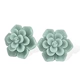 Hypoallergenic Succulent Earrings 13mm 925 Sterling Silver Post Soft Ceramic Resin Handmade Stud Ear