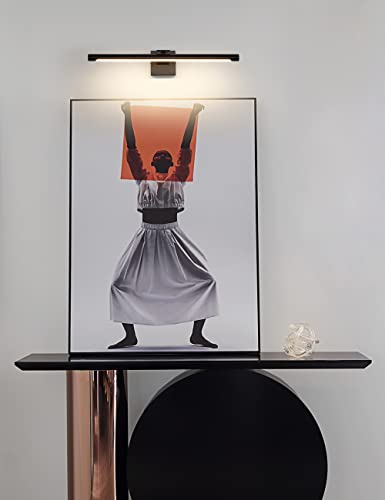 Image of Joosenhouse LED Picture Light Modern Black Art Display Light Artwork Display Light for Paintings 14W (70W Eqv) Hardwired Connection 3000K 24.4 inches