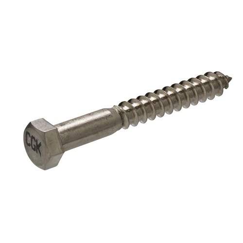 Crown Bolt 10730 1/4 Inch x 2 Inch Hex-Head Stainless Steel Lag Screws, 25-Count