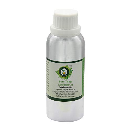 Olio Essenziale Di Thuja Occidentalis – Westuia – Vegetal Progress – Solo Uso Esterno