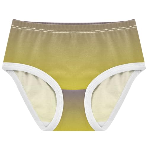 Joisal Aesthetic Girls Underwear Toddler 2t Cotton Little Girl Panties Violet Canary Yellow Gradient Briefs Kids Undies