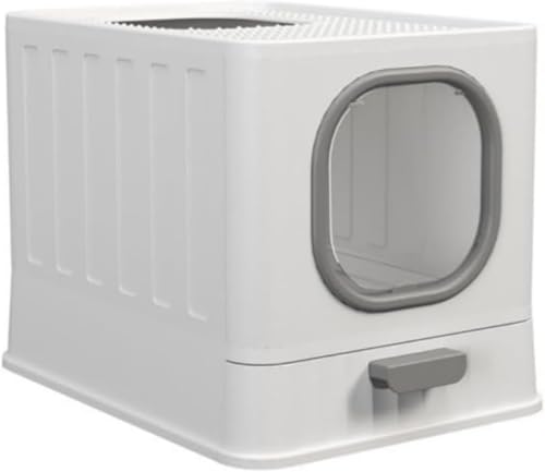 Vilom L gC LpgC{ lRgC e ^ ̔юUh~ |ȒP ELR gݗĂ₷ ot  lC (B) (O[)