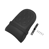 Compatible avec BMW R18 100 ans