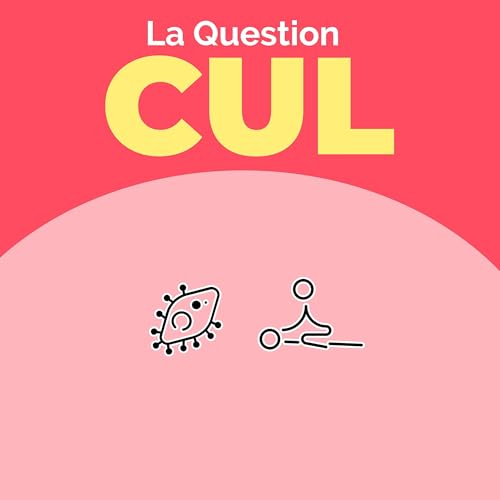『Qu’est-ce que je risque si je fais l’amour avec une cystite ou une mycose ?』のカバーアート