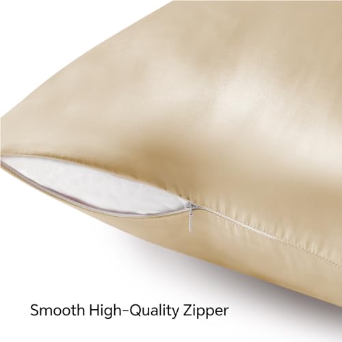 BEDELITE Satin Pillowcase with Zipper, Champagne King Size Pillow Cases Set of 2, Super Soft and Cooling Similar to Silk Pillow Cases, Gift for Women Men(20x40 Inches)