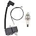 Wellsking 4137 400 1350 Ignition Coil Fits STIHL FS75 FS80 FS85 FC85 HT70 HT75 HL75 HL75K HS75 HS80 HS85 KM85 Hedge Trimmer Edger Pole Saw with Spark Plug