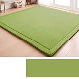 DSSHENGDS Tappeto in Velluto Corallo Morbido,Moderno, Lavabile, Perfetto per Yoga,Esercizio Fisico e Gattonare,Tappeto Salotto,Scendiletto per Bambini Tatami 2cm-G- 100 * 300cm