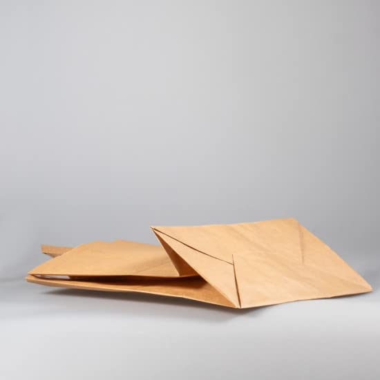 Sac Papier Kraft Type Cabas | Lot de 100 sacs 25X17X29 cm | Fond Plat | Epais - Anti Déchirure | Vente à Emporter Alimentaire et Textile