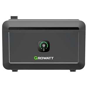 Growatt NOAH 2000 Balkon PV Speicher 2048W Akkukapazität, Kompatibel mit Balkonkraftwerke, IP66, 6.000+ Ladezyklen, 10-jährige Garantie, Plug&Play Installation in 5 Min 3 31U0ZxTt LL. SL500 . SS300