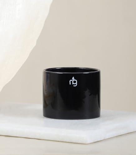 Image of Nurturing Green Combo of 2 Black Ceramic Pots for Plants | Indoor Flower Pots (Size: 3.5 Inch Wide*2.8 Inch High)