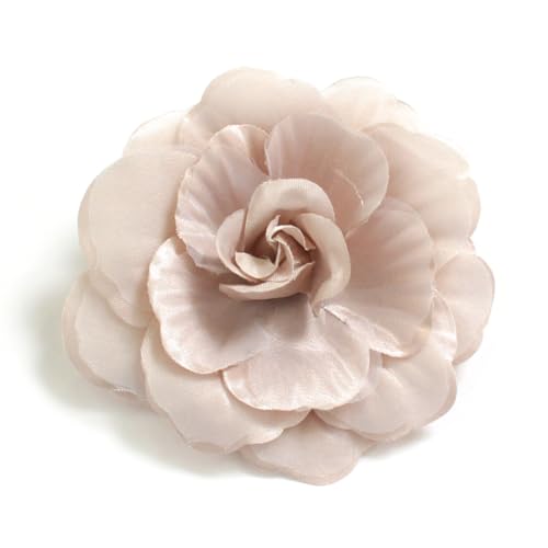 [ t[ Vv RT[W fB[X w  Ǝ  q qǂ X[c tH[} u[` O[W F