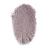 1/10/20 piezas teñidas varias plumas de avestruz es precio 15-20 CM plumas de avestruz carnaval etapa accesorios de boda Plume-17-50pcs