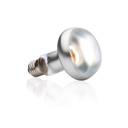 Exoterra Éclairage pour Reptiles Lampe Intense Baskingspot 100 W