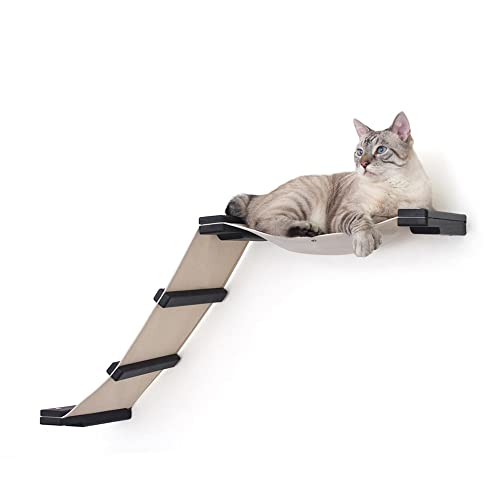 CatastrophiCreations Fabric Raceway Hammock Lounger