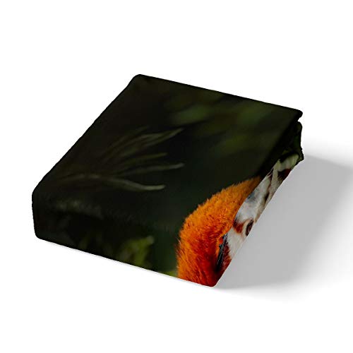 Raccoon Duvet Cover Red Panda Comforter Cover Tree Green Leaves Bedding Set For Kids Adults 3D Wild Animal Bedspread Cover Ultra Soft Room Decor Double Bedclothes Zipper - Image 3
