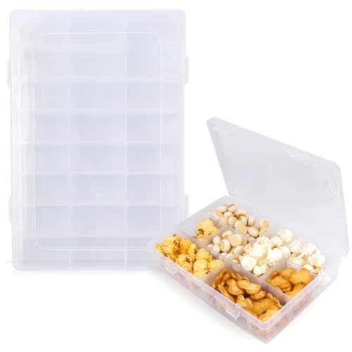 Leislam Aufbewahrungsbox Mit Deckel, Organizer Box, 24 Ablagefächer, 19.2 x 13 x 3.5 cm, Klarer Kunststoff-Speicherbox mit Flip-Top-Verschluss