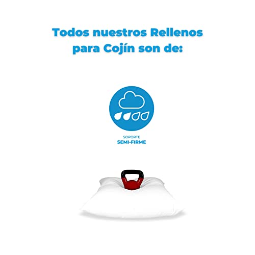 Recopilación y reviews de Relleno para cojines parisina disponible en línea. 11 Imagen adicional