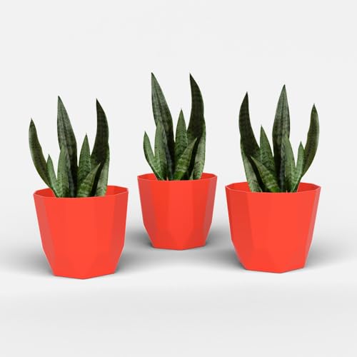 Image of YUCCABE ITALIA SHERA Hexa Plastic Planter Pot for Plants | Decorative Flower Pot | UV Protected Lightweight Indoor Outdoor Gamla for Home Decor, Balcony, Garden & Living Room