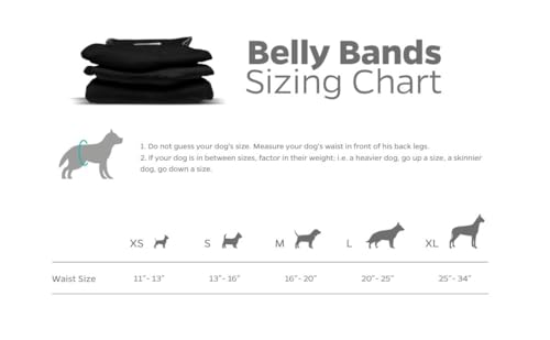 Image of Pet Parents Washable Belly Band Male Dog Diapers, Dog Wraps and EXTENDRS, Black, X-Small: 1