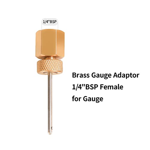Image of Brass Test Plug with Brass Gauge Adaptor, 1 /4 inchNPT Male